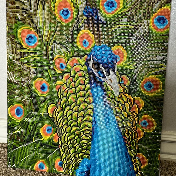 Other - Peacock diamond art